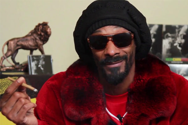 The Story Behind The Snoop Video